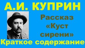А.И. Куприн. Рассказ «Куст сирени». Краткое содержание.
