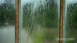 Мир садоводов 2023-2024 ! Зимний спецвыпуск №4 (4 из 4 на рус?