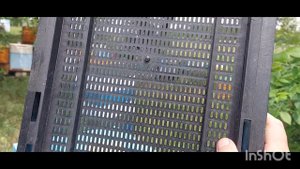 Вопрос о сетчатом дне Пеноулика.