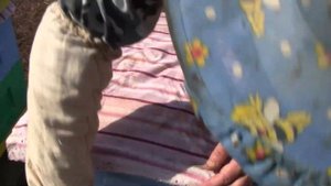 Весенне развитие пчелы в ульях Рут На пасеке у Булдако