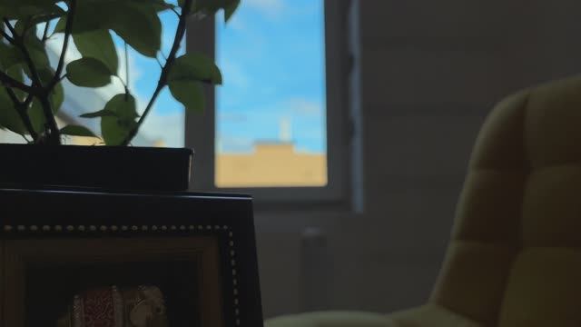 Уютная квартира в ЖК Monodom Line смотреть онлайн