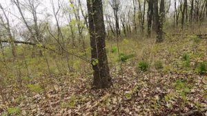 Карповский сад все? Харьков сегодня. Эксклюзив