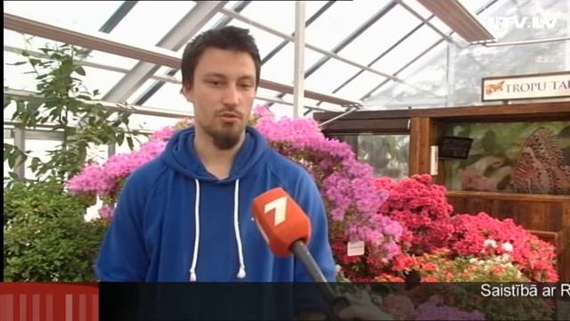 Начинается сезон наблюдения за бабочками смотреть онлайн