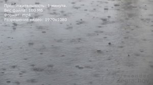 Дождь на асфальте (купить видео)