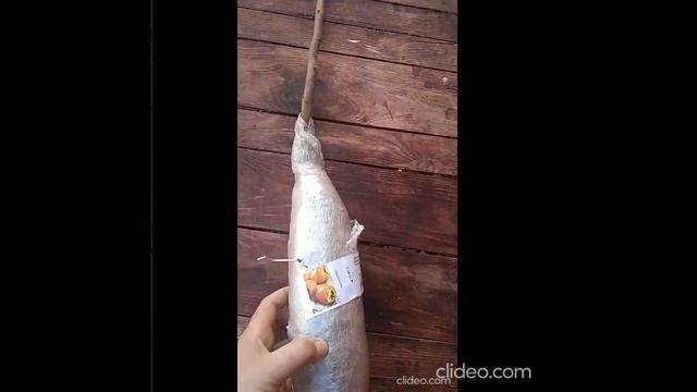 Отзыв Агромаркет відгук распаковка заказа №162183728832 за смотреть онлайн