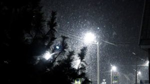 Ночной весенний снег