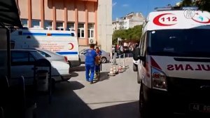 Перевернулся грузовик с ульями: пчёлы атаковали людей