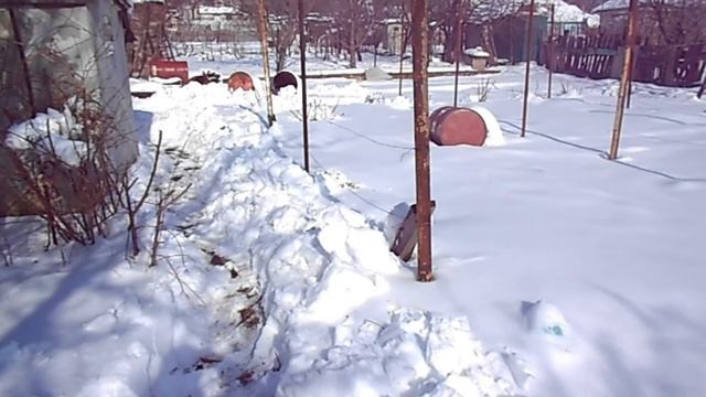 Укрытие винограда на зиму. Зимовка винограда в 2020 г. смотреть онлайн