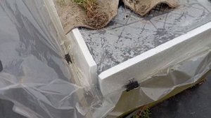 Продолжение, укрытие крупнолистных гортензий.