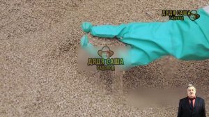 Как правильно подкормить смородину весной