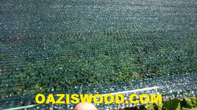 Сетка затемняющая 12х10 45% над огородом. Видео отзыв от В смотреть онлайн