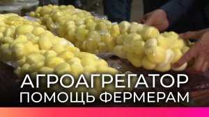Проект «Агроагрегатор» обеспечит доставку фермерской продукции в торговые сети и её правильное хране