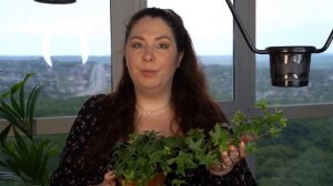 Зелёные квадраты с Анастасией Рыкалиной. Выпуск 2