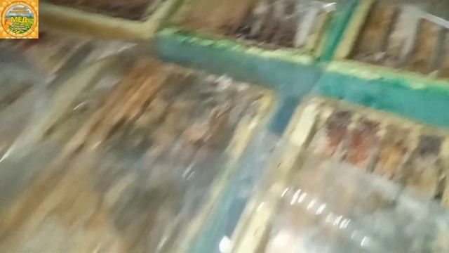 16. 01.25 Зимуют ли пчёлы Бакфаст в Новгородской области?! смотреть онлайн