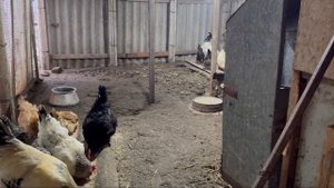 Как не допустить и избавиться от красного клеща навсе?