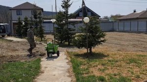 Бизнес с нуля. Питомник растений. Кризис или возможнос