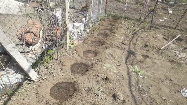 ДНЕВЕН ВЛОГ I КАК СЕ СЕЕ ЦАРЕВИЦА, МОРКОВИ И БАМЯ? смотреть онлайн