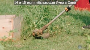 ЛУННЫЙ ПОСЕВНОЙ КАЛЕНДАРЬ НА ИЮЛЬ 2025