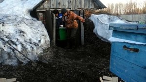 Трактор Т40 + прицеп 1ПТС2Н. Перевозка пчёл.