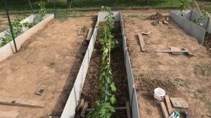 Как изготовить КОРОБА ДЛЯ ВИНОГРАДА