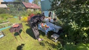 ЖАРИМ ШАШЛЫК НА ДАЧЕ