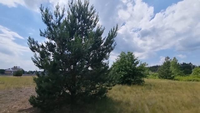 ПРОДАЖ. Ділянка в с. Вища Дубечня, 72 сотки. смотреть онлайн