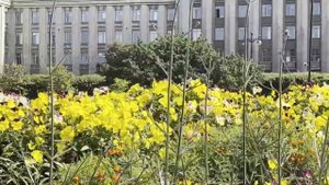 Сад цветов на Московской площади.//Санкт-Петербург