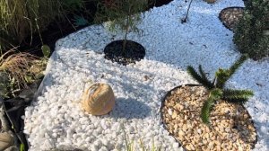 Декор в моём саду