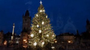 Самые красивые елки мира, которые стоит увидеть!