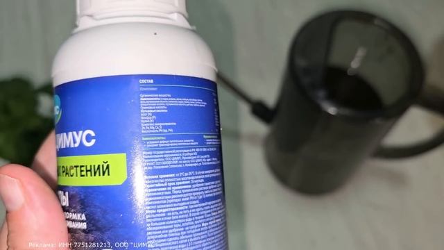 ЖАЛЕЮ, ЧТО не укореняла ГЕРАНЬ так раньше бюджетно, бы? смотреть онлайн