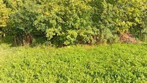 ФИЛЬМ "КИЛЛЕР" 1 СЕРИЯ