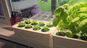 Система выращивания Агроло Оптимум