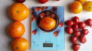 Томат Джало Санта. Окажется ли он самым сладким?