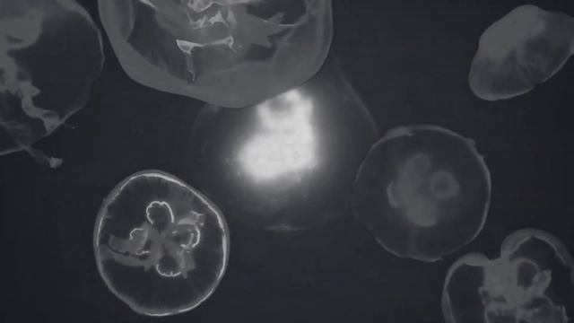 ГАНС ГРУВЕР - ЛАМПОЧКА (клип) смотреть онлайн