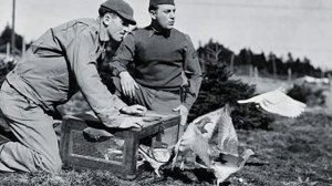 История средств передачи информации