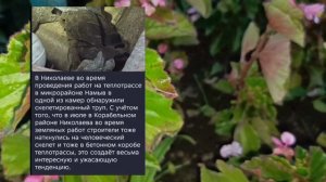 Николаев 10 сентября 2025 года (новости)