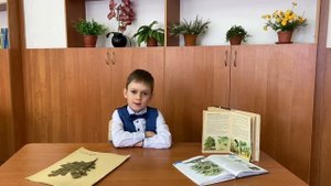 «Технология выращивания дуба черешчатого»
