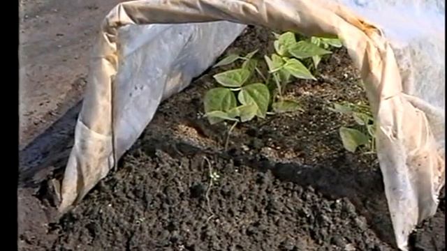 ч.8 - Технология доктора Миттлайдера (библиотека OGOROD.ua) смотреть онлайн