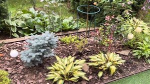 Лиственницы Комарек Хексе, Саммер Фог, Стиф Виппер. Че?