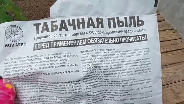 ВЫСАДКА ТОМАТОВ В ТЕПЛИЦУ 9 мая.Что положить в лунку дл смотреть онлайн