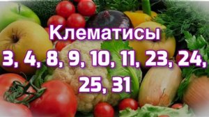 Лунный календарь садоводов и огородников на октябрь 20