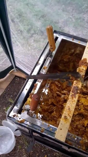 Обзор на пасику , как качать мед и что для этого нужно !! смотреть онлайн