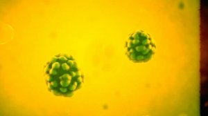 Что такое ХИТОЗАН? И его лечебные свойства