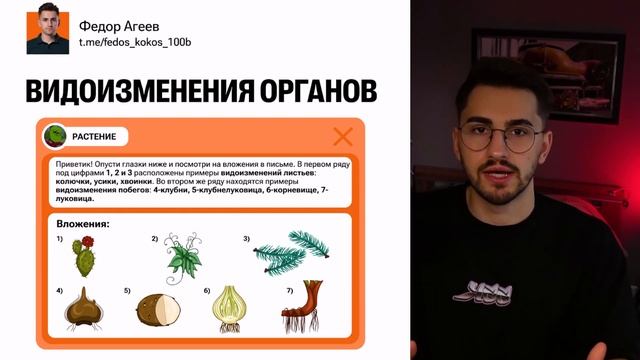 Весь 6 класс для ОГЭ по биологии за час | Все темы с нуля смотреть онлайн