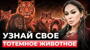 Тотемные животные: как выбрать «своё» и не промахнуться
