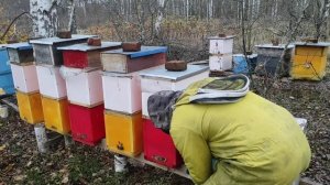 Пчеловодство. Зимовка пчёл. Как защитить летки улья от