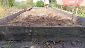 Подготовил #грядкадлячеснока борьба с #портулак #горо?