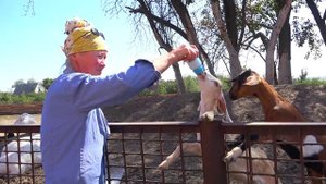 Один день из жизни села