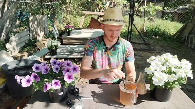 Первая самая важная подкормка после высадки рассады. смотреть онлайн