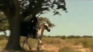 Фрагмент из фильма "КАВКАЗ"-история горца Лезги Керима